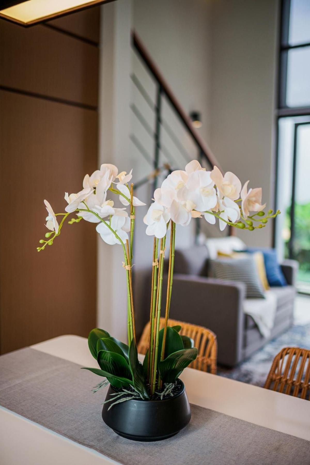 Sadana I22 Ciputra Beach Resort Near Tanah Lot Selemadeg エクステリア 写真